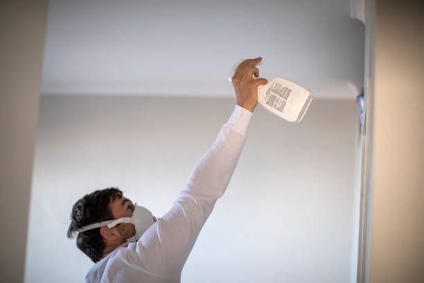 Best Mold Cleaning Services  in Park Ridge, IL